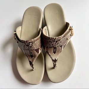 Cole Haan Women’s Nike Air Sandals in Snake Print/grey color, Size 6.5 M